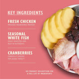 Lily's Kitchen Cat Chicken &amp;amp; White Fish Dry Kitten Food   800g