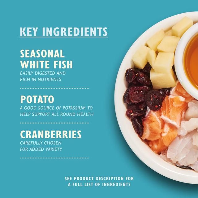 Lily's Kitchen Cat Fisherman's Feast White Fish with Salmon Dry Food   2kg