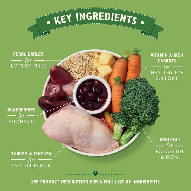 Lily's Kitchen Chicken &amp;amp; Turkey Casserole for Dogs   150g