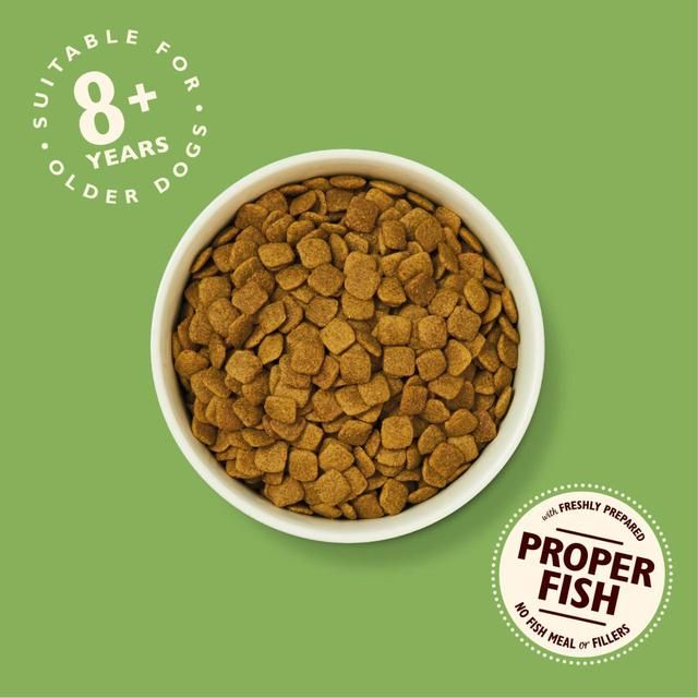 Lily's Kitchen Dog Turkey &amp;amp; Trout Senior Recipe Dry Food   1kg
