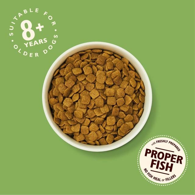 Lily's Kitchen Dog Turkey &amp;amp; Trout Senior Recipe Dry Food   2.5kg