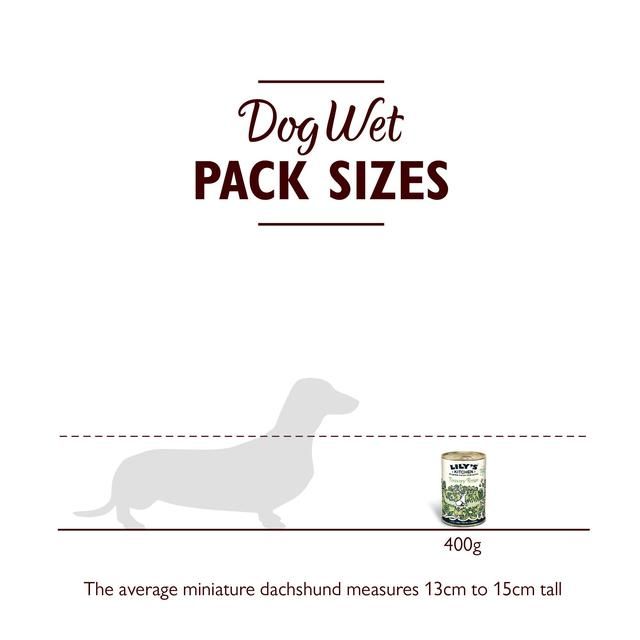 Lily's Kitchen Recovery Recipe for Dogs   400g