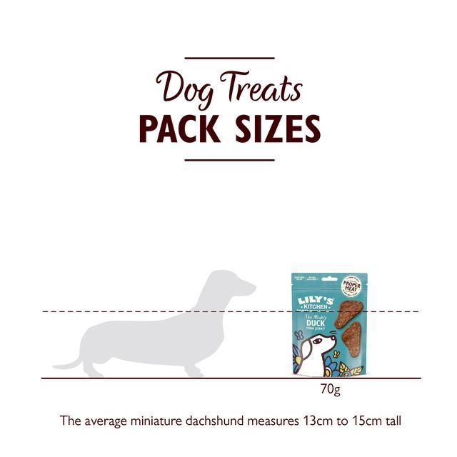Lily's Kitchen The Mighty Duck Mini Jerky for Dogs   70g