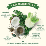 Lily's Kitchen Woofbrush Natural Daily Dental Chew Large Dog Multipack   329g