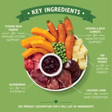 Lilys Kitchen Lamb Hotpot For Dogs   400g