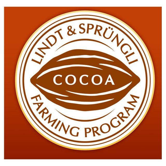 Lindt Lindor Hazelnut Chocolate Truffles   200g