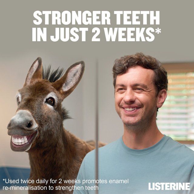 Listerine Teeth &amp;amp; Gum Defence Mouthwash Fresh Mint   500ml