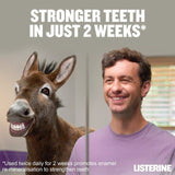 Listerine Total Care Zero MouthWash Smooth Mint   500ml