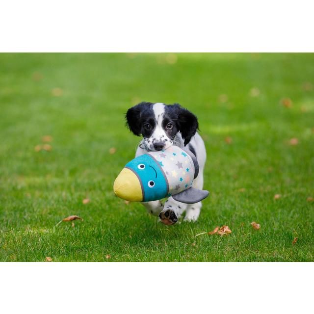 Little Petface Little Rocket Puppy Toy