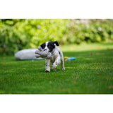 Little Petface Puppy Freddi Cord Dog Toy