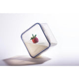 Lock &amp;amp; Lock Air Tight Container 870ml