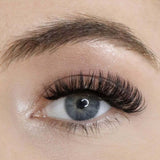 Lola's Lashes LWI Clear Adhesive Liner &amp;amp; Lash Set