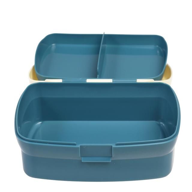 Lunch box with tray Fairies in the Garden