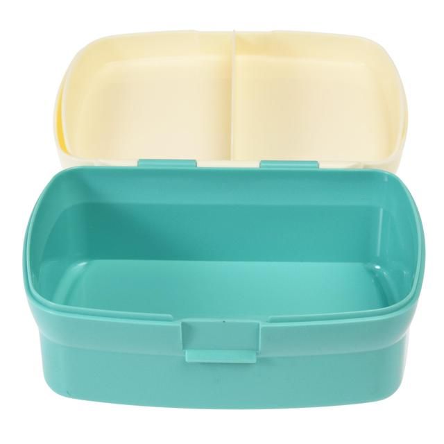 Lunch box with tray Wild Wonders