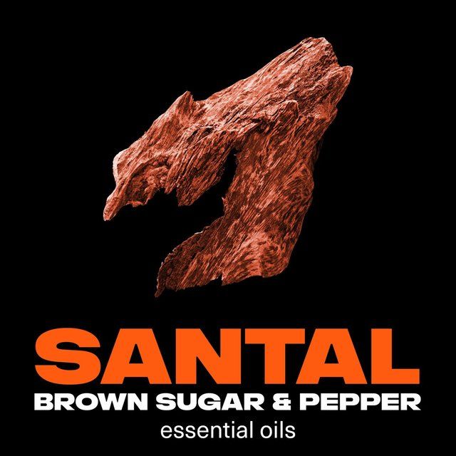 Lynx Fine Fragrance Collection Premium Deodorant Bodyspray Copper Santal   150ml