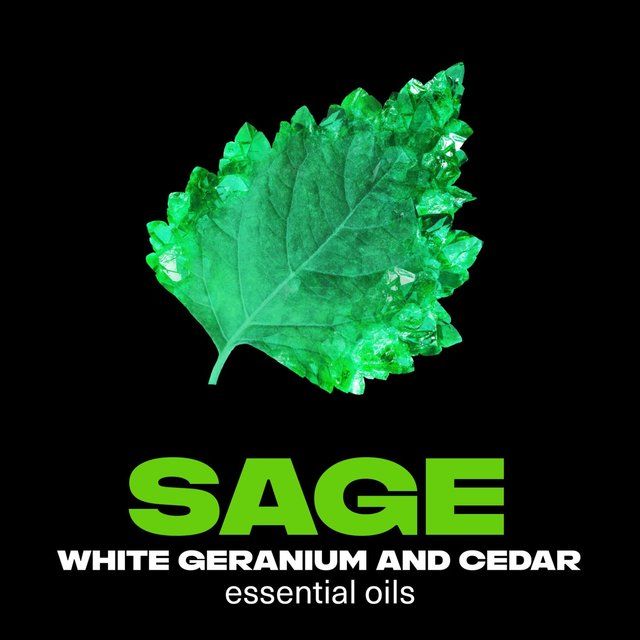 Lynx Fine Fragrance Collection Premium Deodorant Bodyspray Emerald Sage   150ml