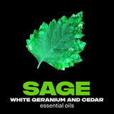 Lynx Fine Fragrance Collection Premium Deodorant Bodyspray Emerald Sage   150ml