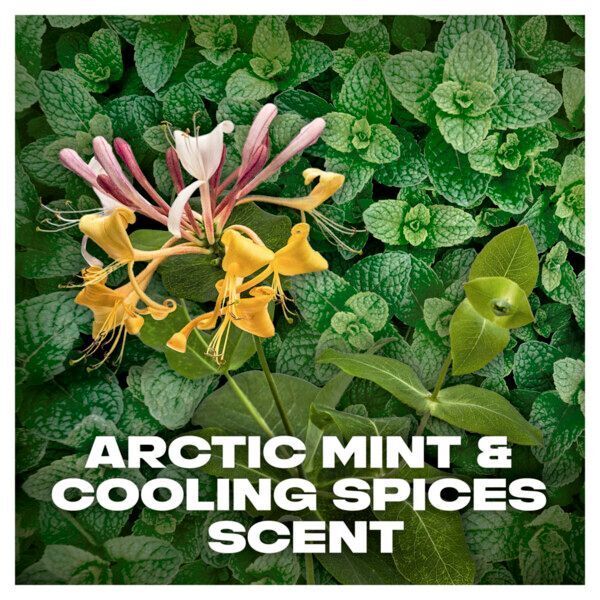 Lynx Sport Dry recharge Anti-perspirant Deodorant Spray