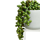M&amp;amp;S Artificial Mini String of Pearls in Pot Green