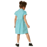 M&amp;amp;S Cotton Gingham School Dresses 3-10 Years Green