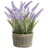 M&amp;amp;S Lavender In Resin Wicker Pot Purple