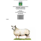 Kevin Milner Countryside Charolais Ewe Card