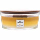 Woodwick Large Ellipse Trilogy Fruits Of Summer Candle 22oz