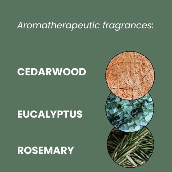 ManCave Aloe &amp;amp; Pine Shower Gel 500ml