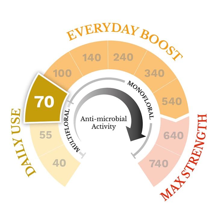 Manuka Pharm Manuka Honey MGO 740 500g