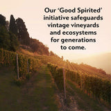 Martini Floreale Non Alcoholic Vermouth Aperitivo   75cl