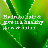 Maui Moisture Nourish &amp;amp; Moisture+ Coconut Milk Shampoo   385ml