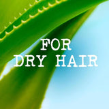 Maui Moisture Nourish &amp;amp; Moisture+ Coconut Milk Shampoo   385ml