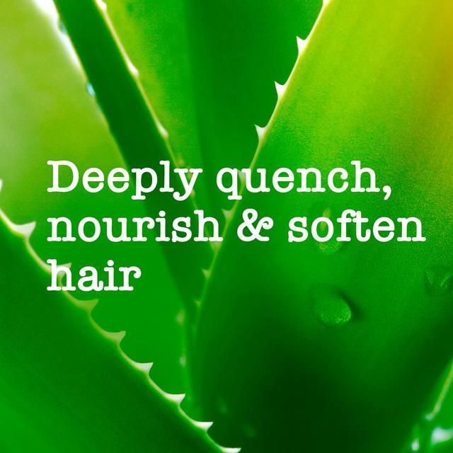 Maui Moisture Revive &amp;amp; Hydrate+ Shea Butter Conditioner   385ml