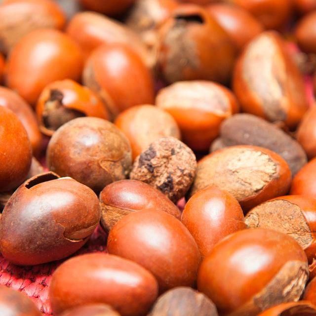 Maui Moisture Revive &amp;amp; Hydrate+ Shea Butter Conditioner   385ml