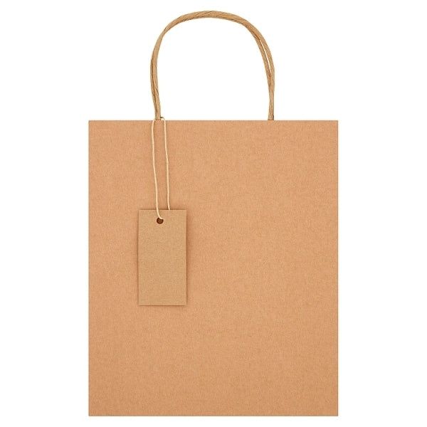 Medium Recyclable Kraft Gift Bag for All Occasions