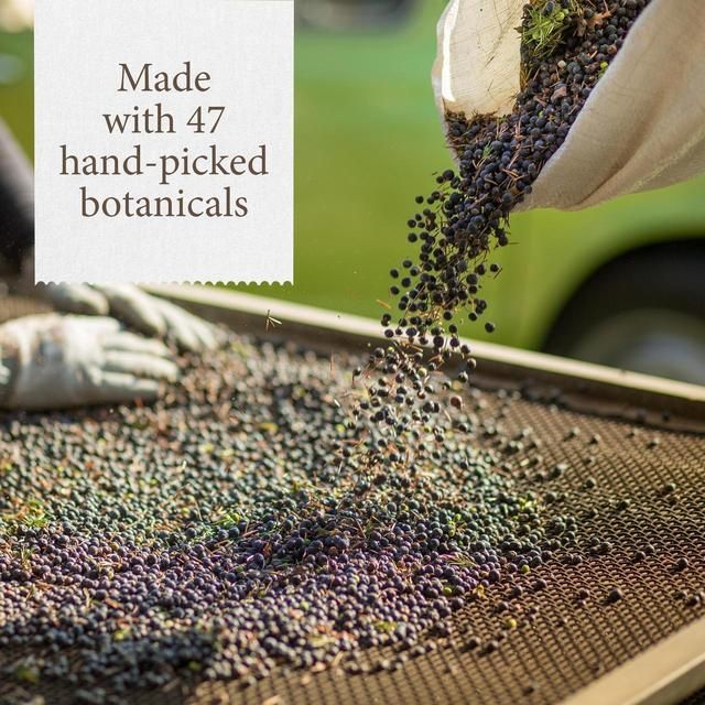 Monkey 47 Schwarzwald Sloe Gin   50cl