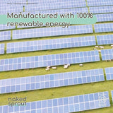 Naked Sprout Unbleached Bamboo Kitchen Roll   6 per pack