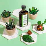 Nature Spell Avocado Oil for Hair &amp;amp; Skin