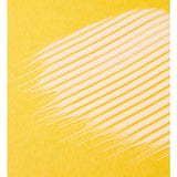 Nip+Fab Ceramide Fix Serum 12%   50ml