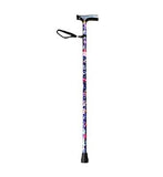 NRS Folding Walking Stick Blue Floral