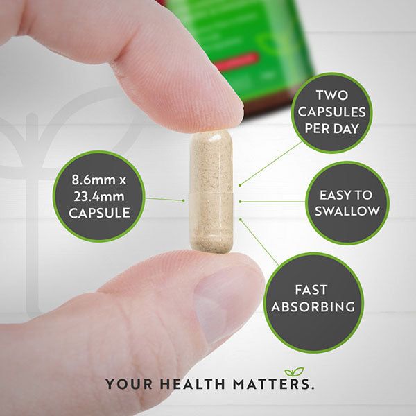 Nutravita Apple Cider Vinegar + Turmeric &amp;amp; Ginger - 180 Caps