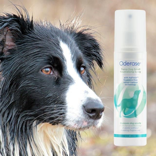 Oderase Damp Dog Smell Neutralising Spray   200ml