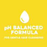 OGX Hydrate &amp;amp; Defrizz+ Kukui Oil pH Balanced Shampoo   385ml