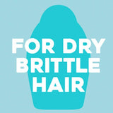 OGX Renewing+ Argan Oil of Morocco Penetrating Oil   100ml