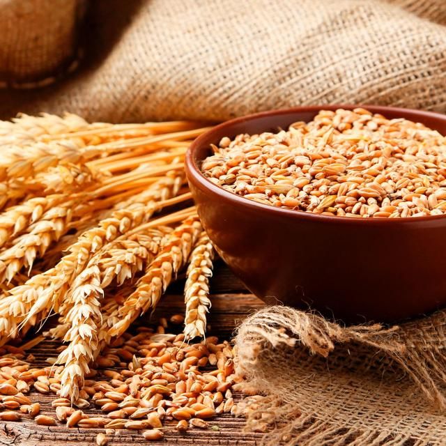 OGX Thick &amp;amp; Full+ Biotin &amp;amp; Collagen pH Balanced Conditioner   385ml