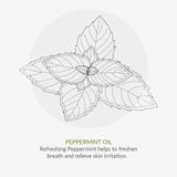 Organic Children Spearmint &amp;amp; Aloe Vera Fluoride Free Toothpaste   50ml