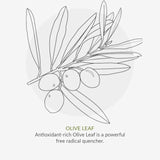 Organic Children Spearmint &amp;amp; Aloe Vera Fluoride Free Toothpaste   50ml