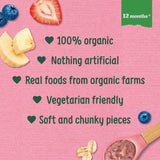 Organix Berry Sunshine Bowl With Yoghurt Banana &amp;amp; Oats Toddler Meal   120g