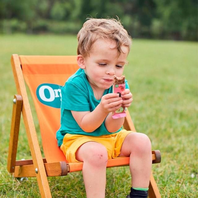 Organix Carrot Cake Organic Soft Oaty Bars Toddler Snack Multipack    6 x 23g