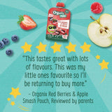 Organix KIDS Red Berries &amp;amp; Apple Smash Pouch    100g